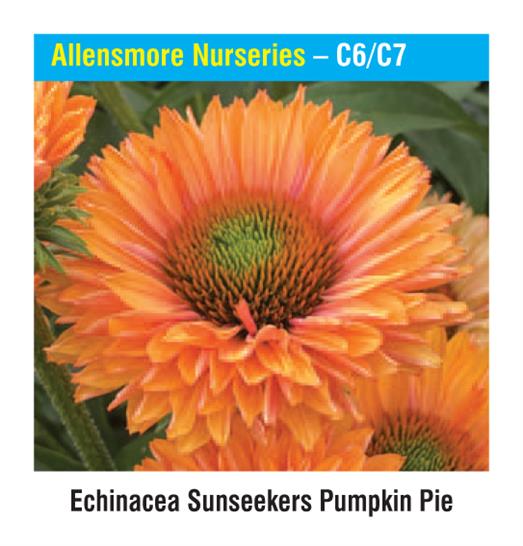 Allensmore Nurseries